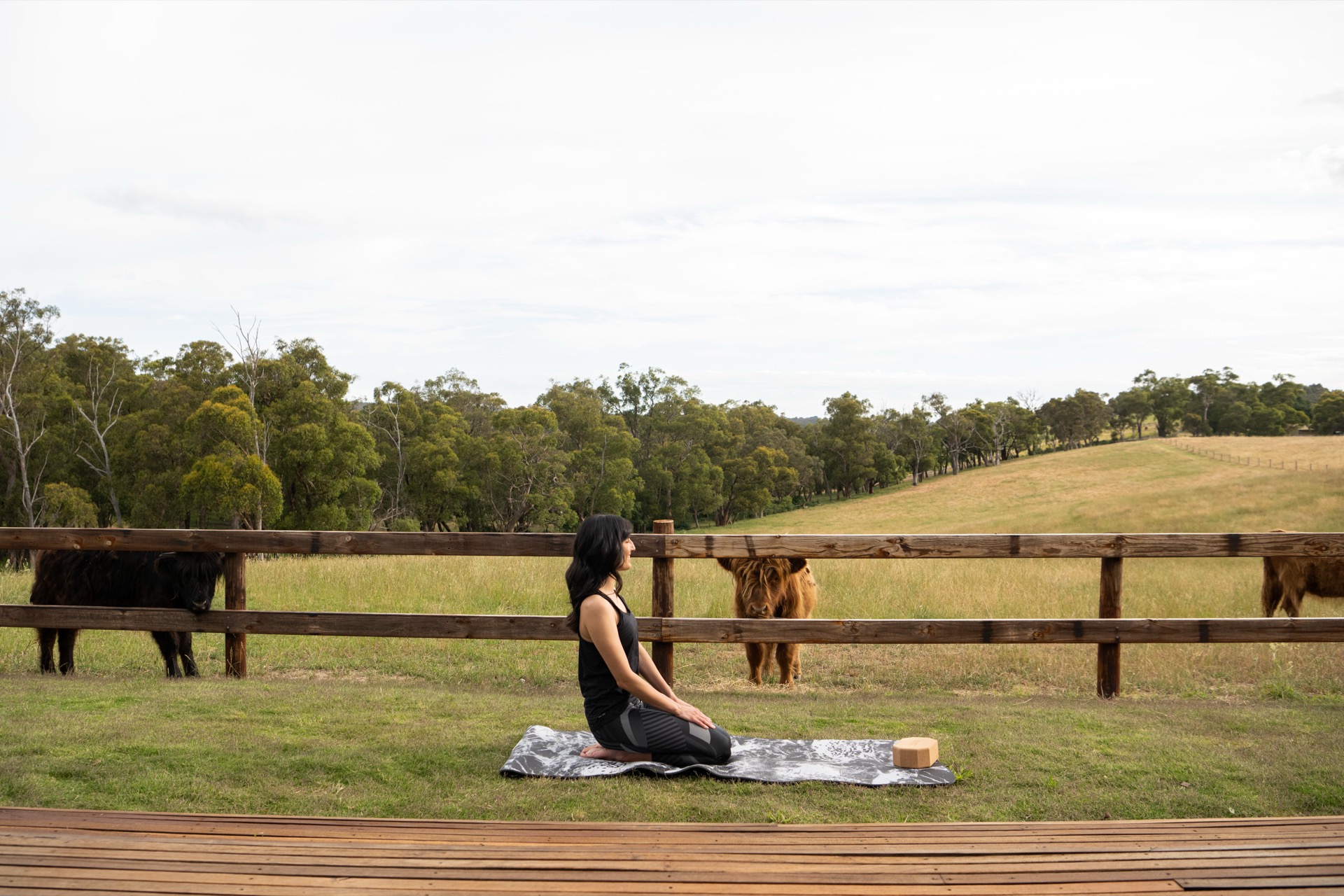 The Benefits of Infrared Sauna: Why We Built a Panoramic One
