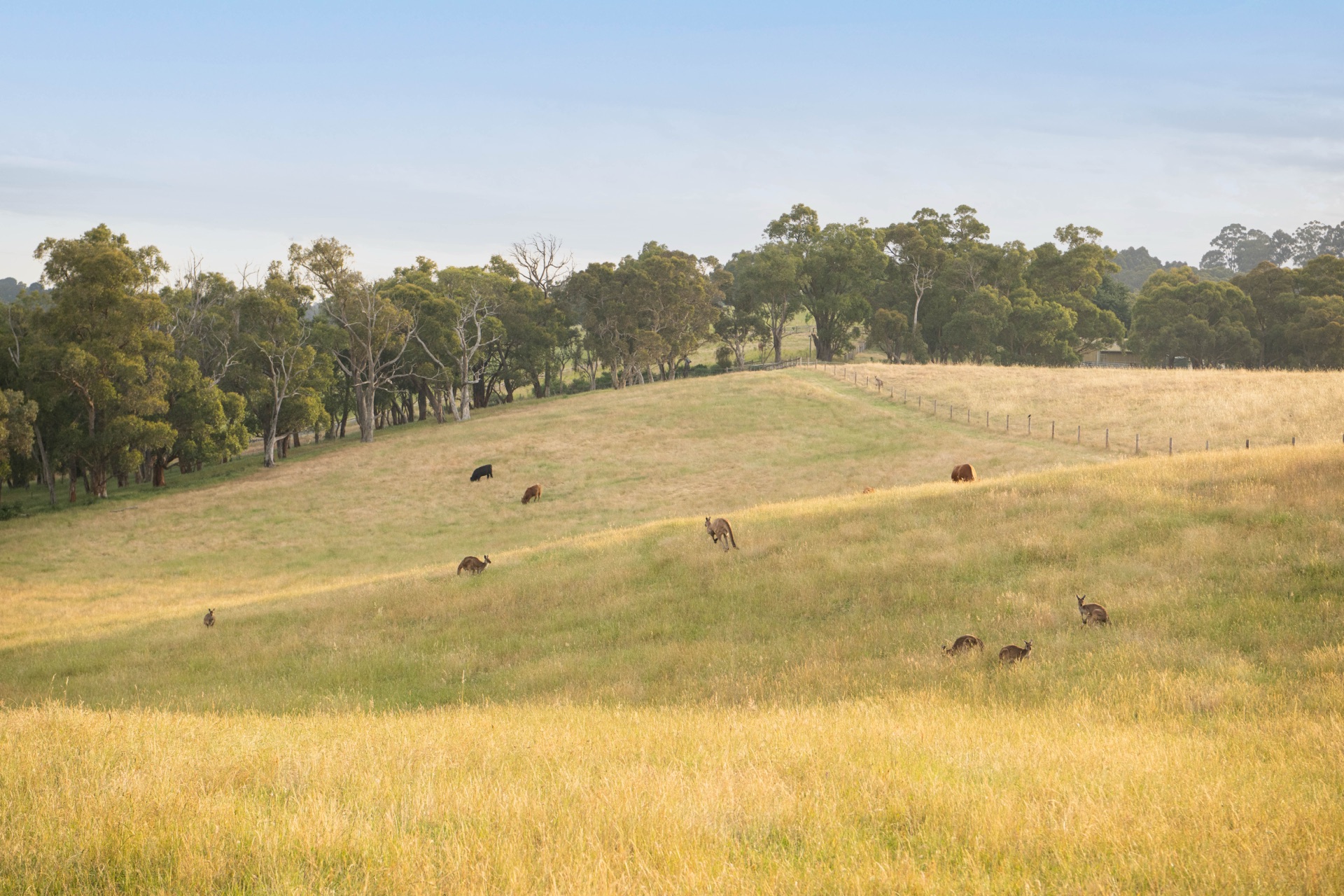 Casa Luna luxury couples retreat in the Adelaide Hills — photograph 15 by Morgan Sette
